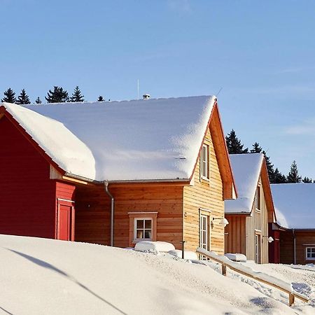 Ferienhaeuser Im Schierke Harzresort Am Brocken, Schierke Exterior photo